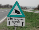 国道沿いに春だけ出る「カエル注意」の標識